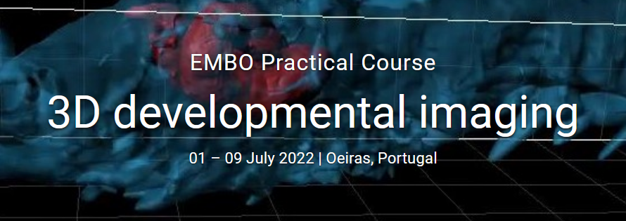EMBO Practical Course on 3D developmental imaging