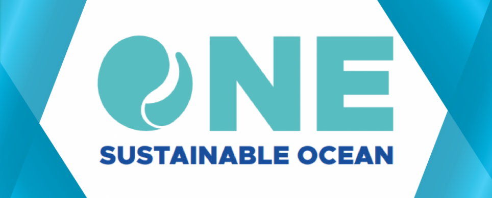 One Sustainable Ocean
